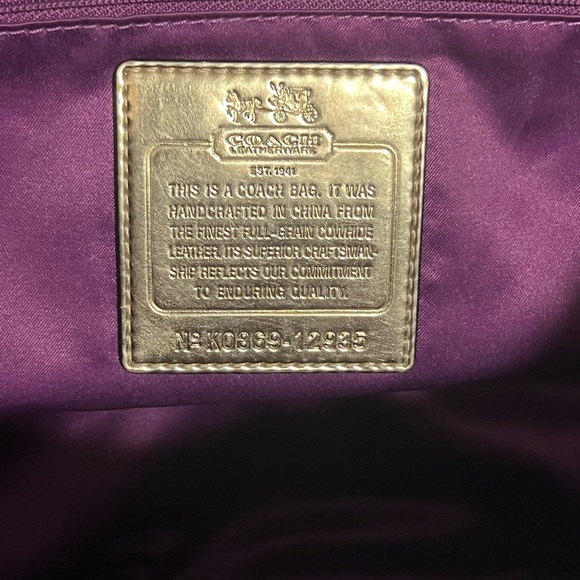 Beautiful Coach - Picture 11 of 15